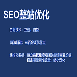 整站优化