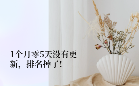 1个月零5天没更新，排名掉了（二）