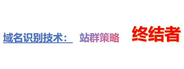 域名识别技术：站群策略的终结者