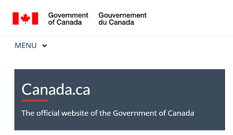 跨境破局：中加贸易升级下的SEO培训新蓝海